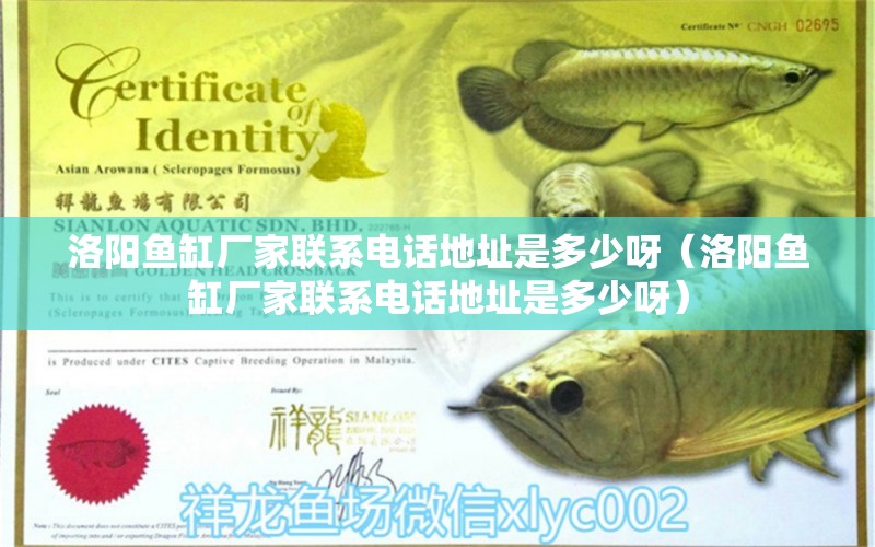 洛陽(yáng)魚(yú)缸廠家聯(lián)系電話地址是多少呀（洛陽(yáng)魚(yú)缸廠家聯(lián)系電話地址是多少呀）