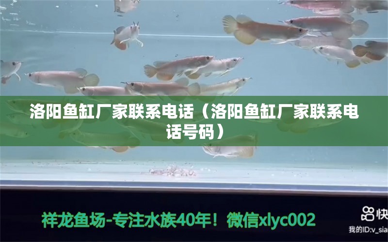 洛陽(yáng)魚(yú)缸廠家聯(lián)系電話（洛陽(yáng)魚(yú)缸廠家聯(lián)系電話號(hào)碼）