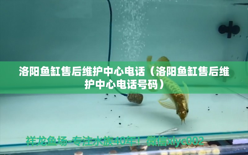 洛陽(yáng)魚(yú)缸售后維護(hù)中心電話（洛陽(yáng)魚(yú)缸售后維護(hù)中心電話號(hào)碼）