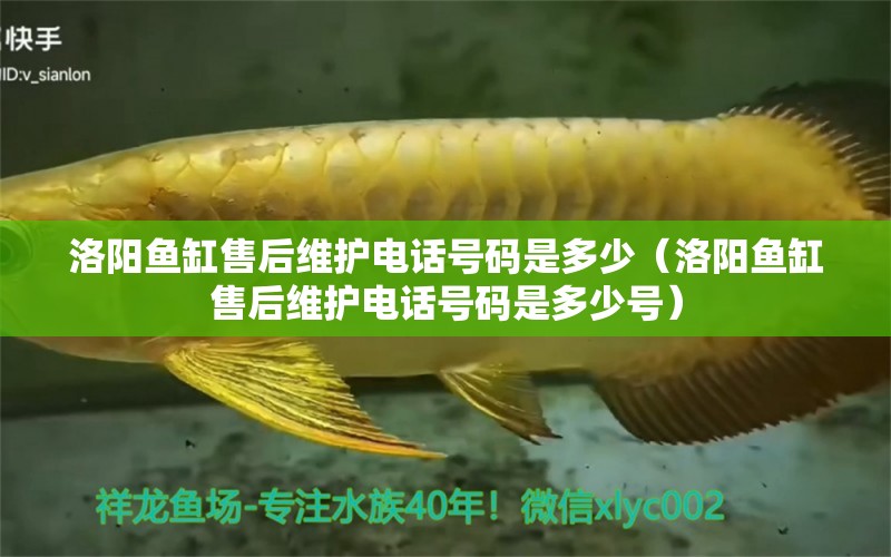 洛陽(yáng)魚(yú)缸售后維護(hù)電話號(hào)碼是多少（洛陽(yáng)魚(yú)缸售后維護(hù)電話號(hào)碼是多少號(hào)）