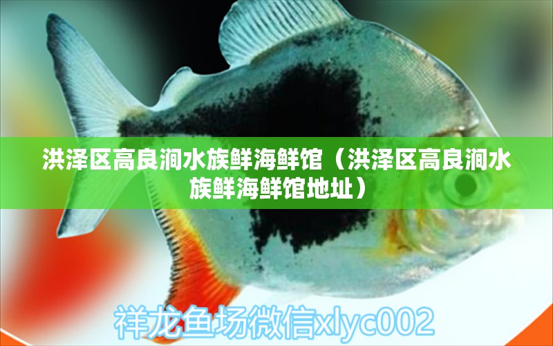 洪澤區(qū)高良澗水族鮮海鮮館（洪澤區(qū)高良澗水族鮮海鮮館地址）