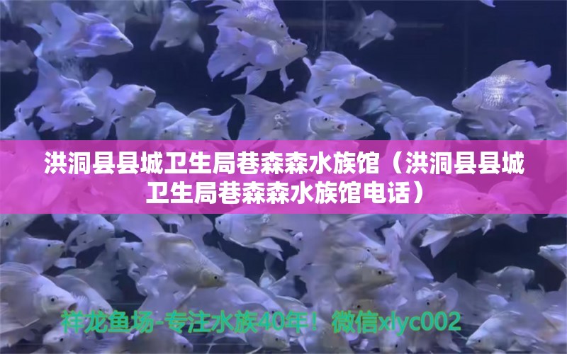 洪洞縣縣城衛(wèi)生局巷森森水族館（洪洞縣縣城衛(wèi)生局巷森森水族館電話） 全國水族館企業(yè)名錄