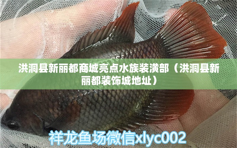 洪洞縣新麗都商城亮點水族裝潢部（洪洞縣新麗都裝飾城地址）