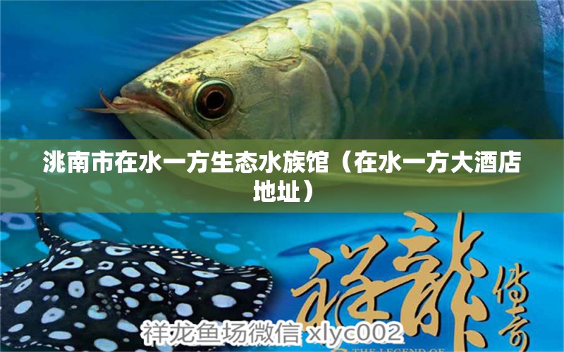 洮南市在水一方生態(tài)水族館（在水一方大酒店地址）