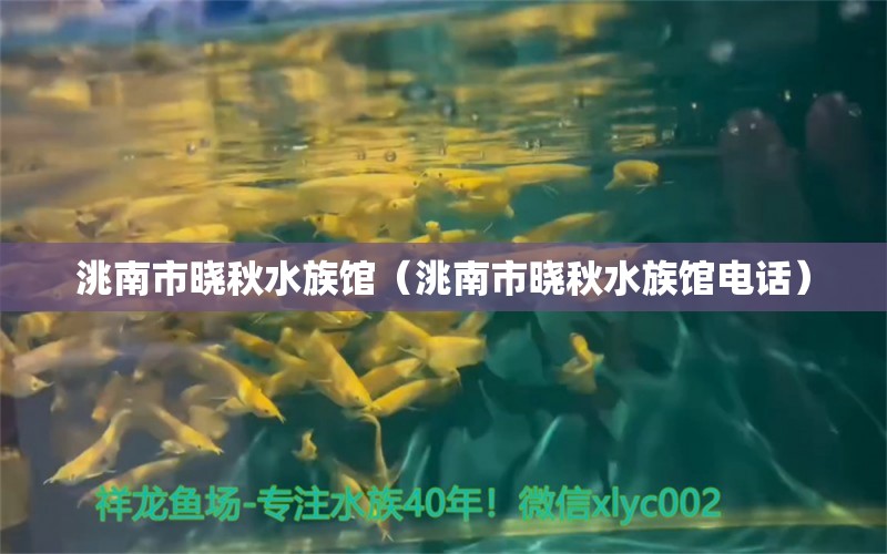 洮南市曉秋水族館（洮南市曉秋水族館電話）