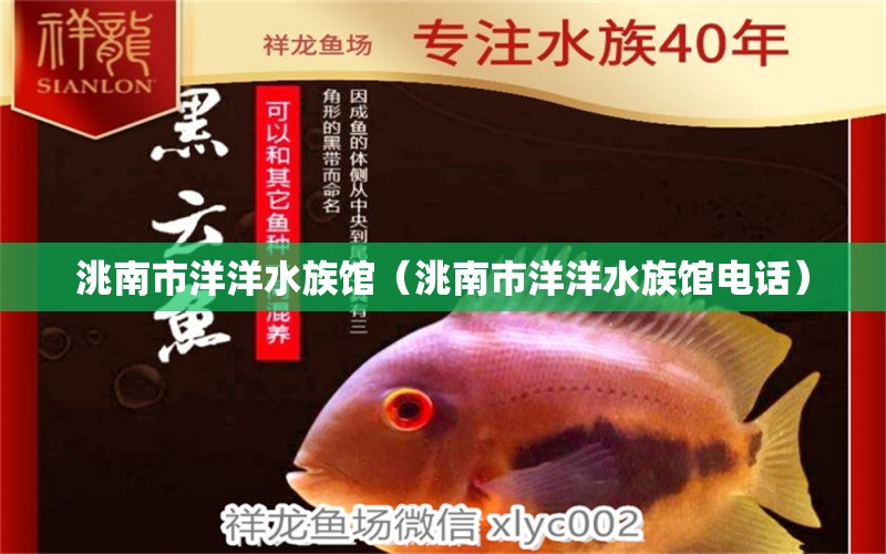 洮南市洋洋水族館（洮南市洋洋水族館電話） 全國水族館企業(yè)名錄