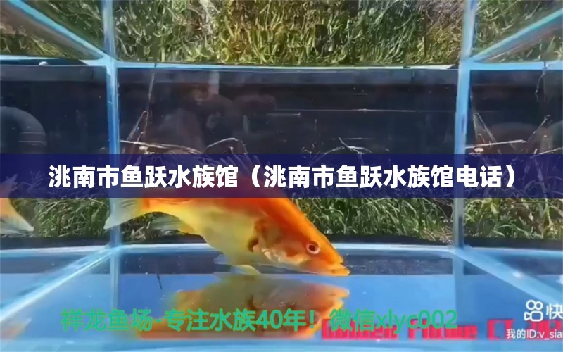 洮南市魚躍水族館（洮南市魚躍水族館電話）