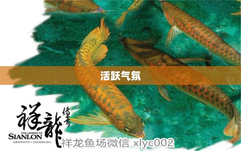 活躍氣氛 黃金貓魚