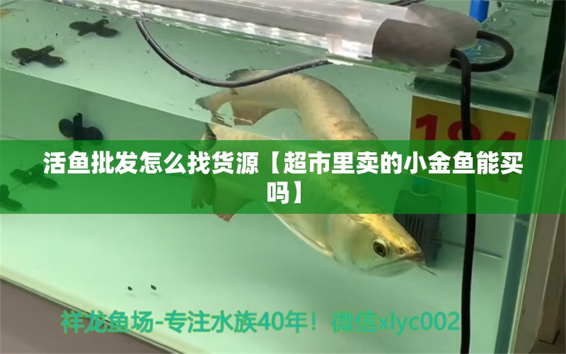 活魚(yú)批發(fā)怎么找貨源【超市里賣(mài)的小金魚(yú)能買(mǎi)嗎】