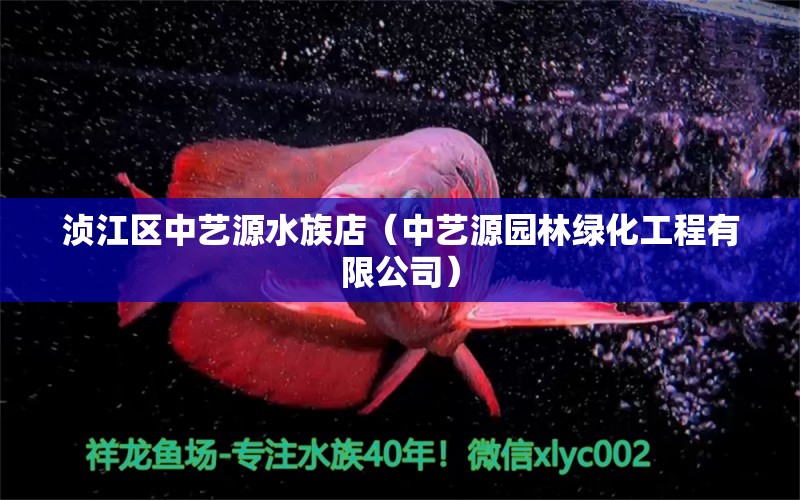 湞江區(qū)中藝源水族店（中藝源園林綠化工程有限公司）