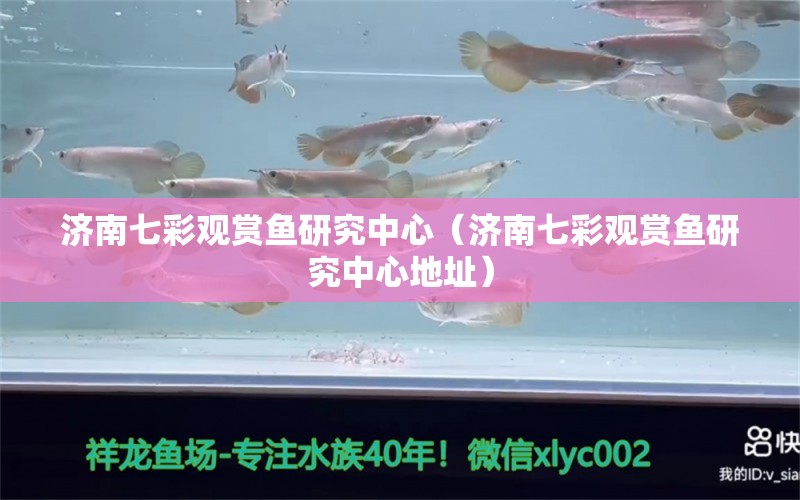 濟(jì)南七彩觀賞魚研究中心（濟(jì)南七彩觀賞魚研究中心地址）