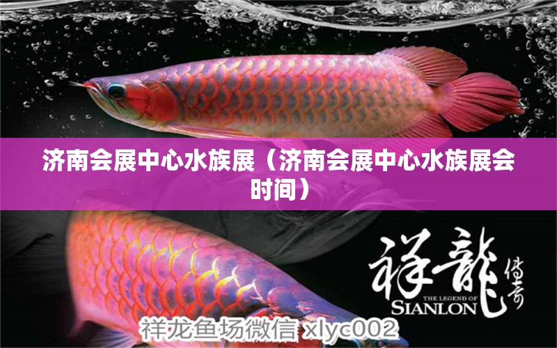 濟(jì)南會(huì)展中心水族展（濟(jì)南會(huì)展中心水族展會(huì)時(shí)間）