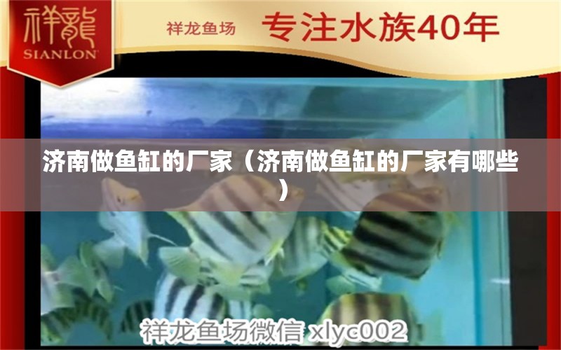 濟南做魚缸的廠家（濟南做魚缸的廠家有哪些） 其他品牌魚缸