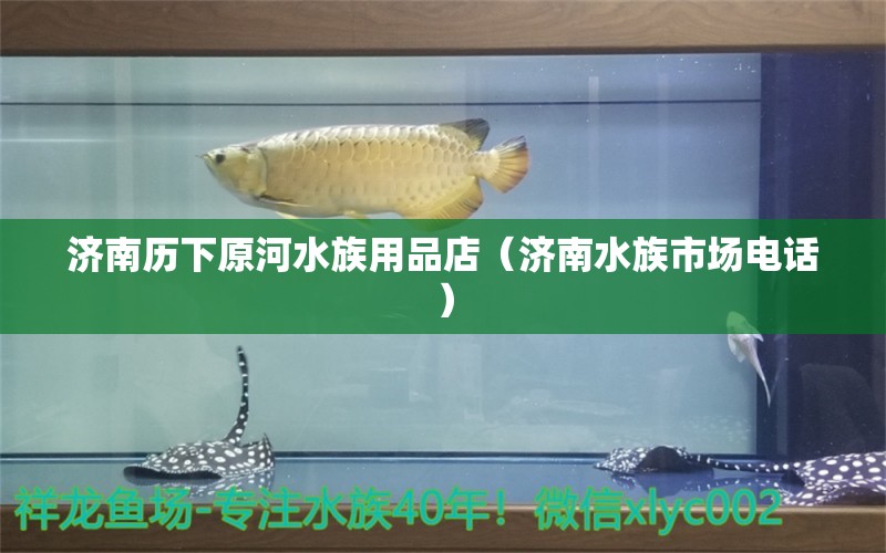 濟(jì)南歷下原河水族用品店（濟(jì)南水族市場(chǎng)電話）