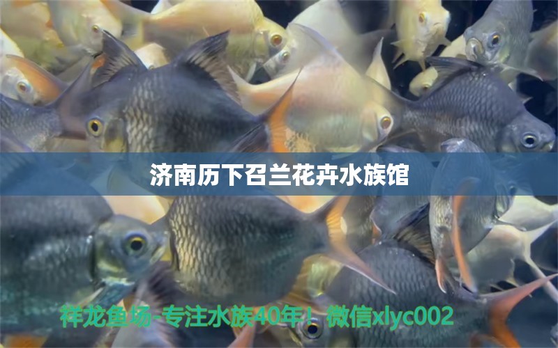 濟南歷下召蘭花卉水族館