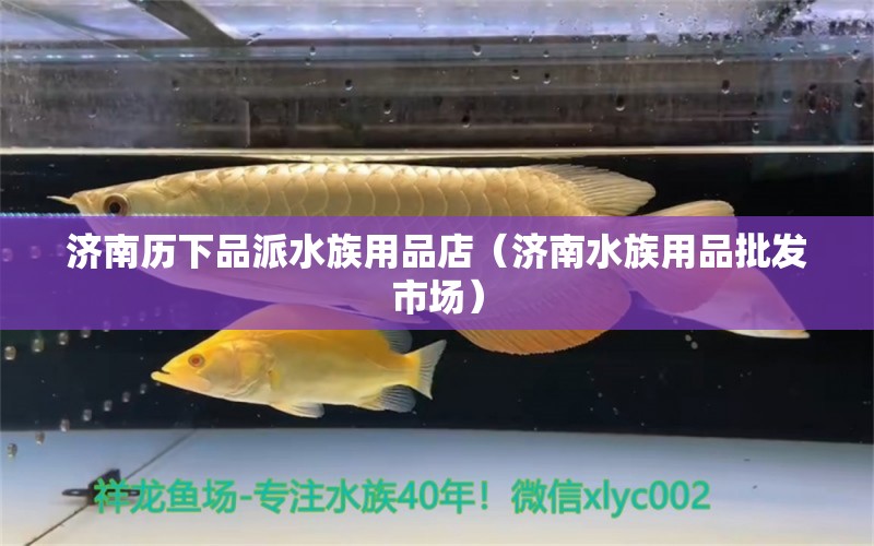 濟(jì)南歷下品派水族用品店（濟(jì)南水族用品批發(fā)市場）