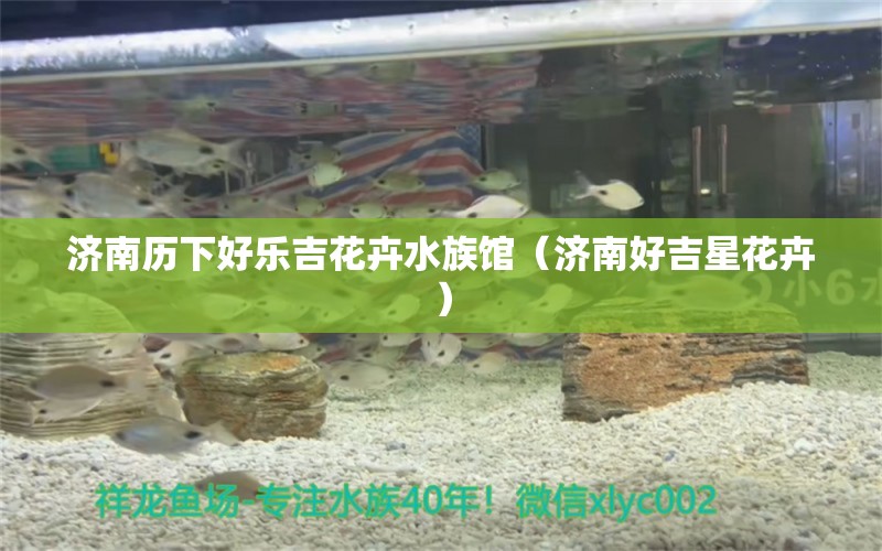 濟南歷下好樂吉花卉水族館（濟南好吉星花卉）