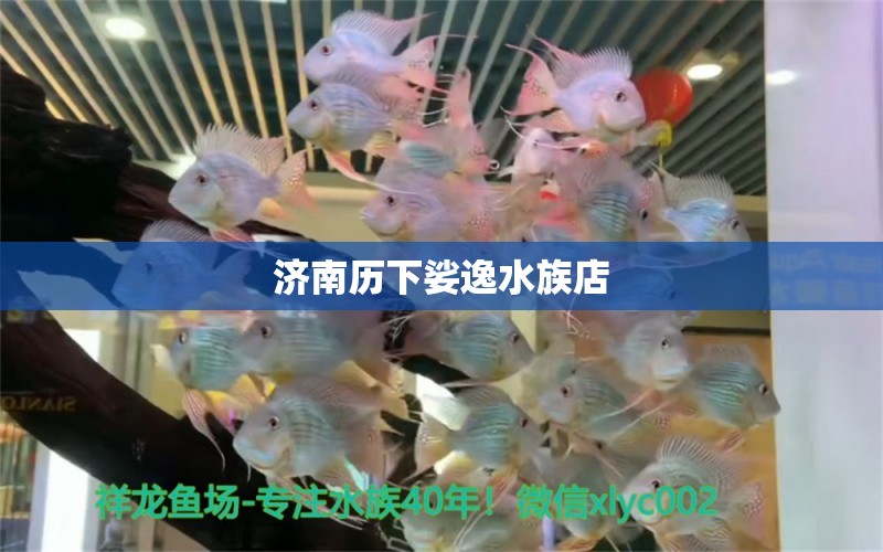 濟(jì)南歷下娑逸水族店 全國水族館企業(yè)名錄