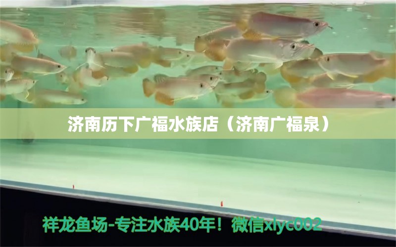 濟(jì)南歷下廣福水族店（濟(jì)南廣福泉）