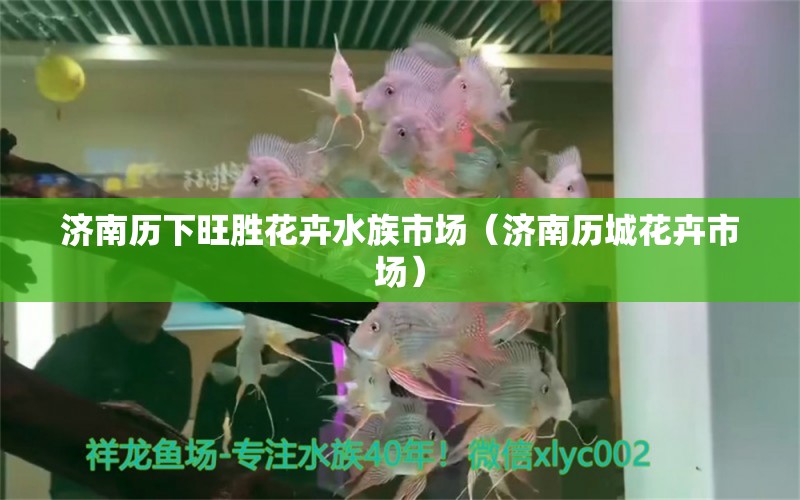 濟(jì)南歷下旺勝花卉水族市場(chǎng)（濟(jì)南歷城花卉市場(chǎng)）