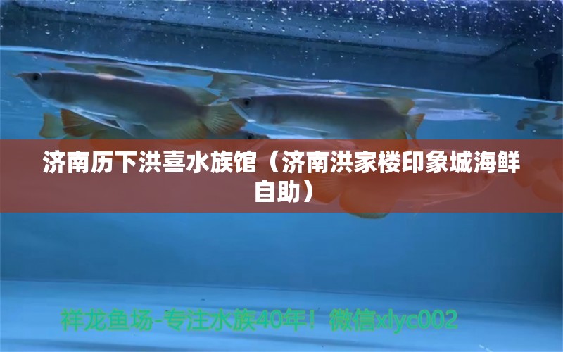 濟南歷下洪喜水族館（濟南洪家樓印象城海鮮自助）