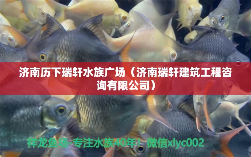 濟南歷下瑞軒水族廣場（濟南瑞軒建筑工程咨詢有限公司）