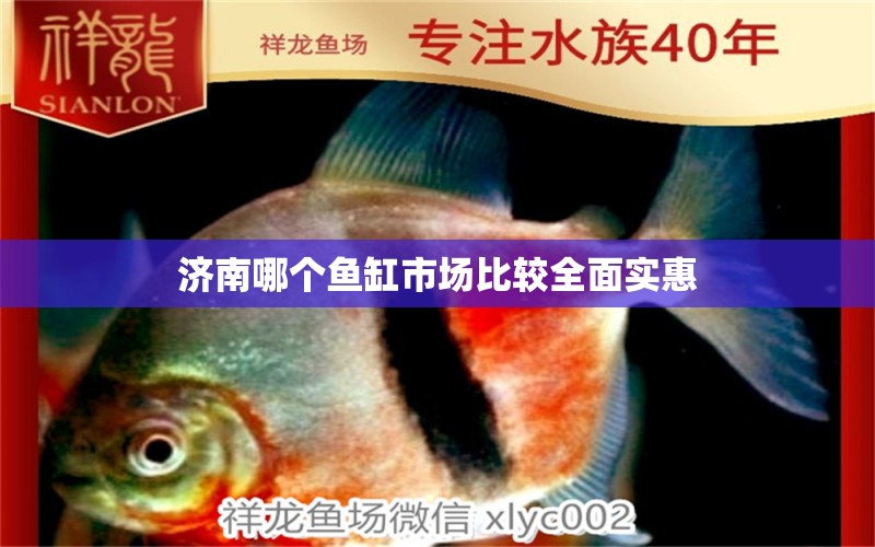 濟(jì)南哪個(gè)魚(yú)缸市場(chǎng)比較全面實(shí)惠 祥龍魚(yú)場(chǎng)