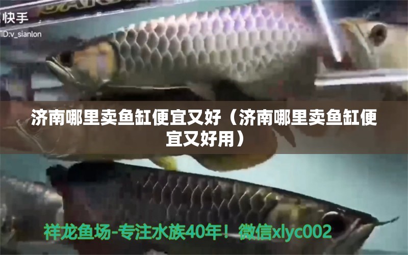 濟南哪里賣魚缸便宜又好（濟南哪里賣魚缸便宜又好用）