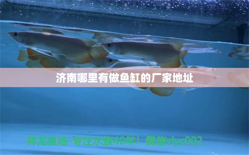 濟(jì)南哪里有做魚缸的廠家地址