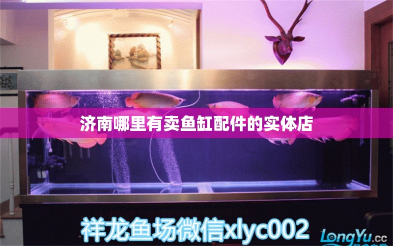 濟(jì)南哪里有賣魚缸配件的實(shí)體店 水族問答 第1張