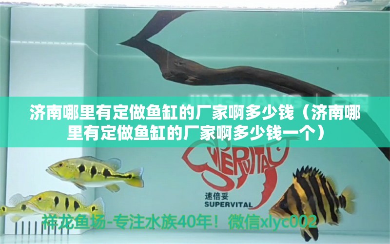 濟(jì)南哪里有定做魚缸的廠家啊多少錢（濟(jì)南哪里有定做魚缸的廠家啊多少錢一個） 新加坡號半紅龍魚（練手級紅龍魚）