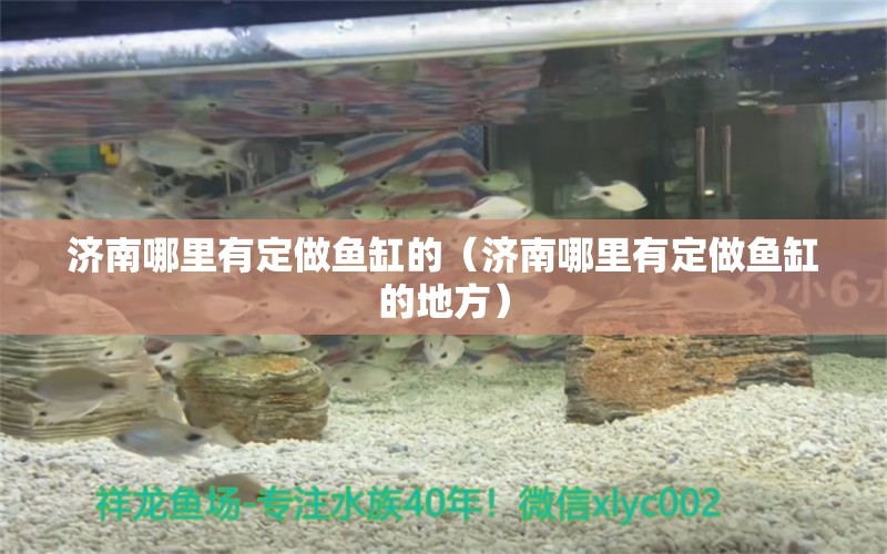 濟南哪里有定做魚缸的（濟南哪里有定做魚缸的地方） 其他品牌魚缸