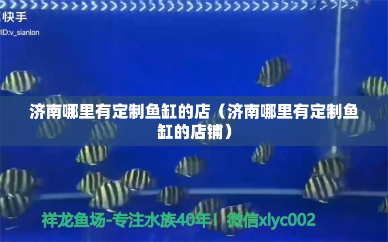 濟南哪里有定制魚缸的店（濟南哪里有定制魚缸的店鋪） 觀賞魚市場（混養(yǎng)魚）