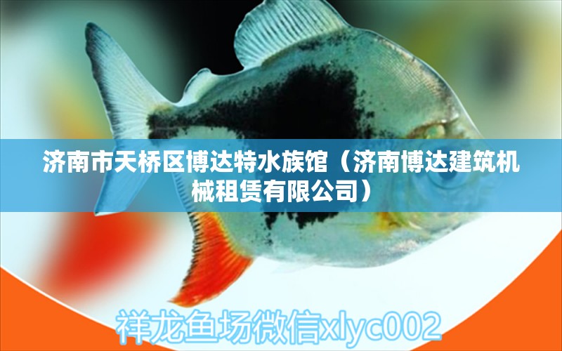 濟(jì)南市天橋區(qū)博達(dá)特水族館（濟(jì)南博達(dá)建筑機(jī)械租賃有限公司）