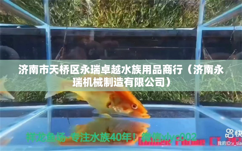 濟(jì)南市天橋區(qū)永瑞卓越水族用品商行（濟(jì)南永瑞機(jī)械制造有限公司） 水族用品