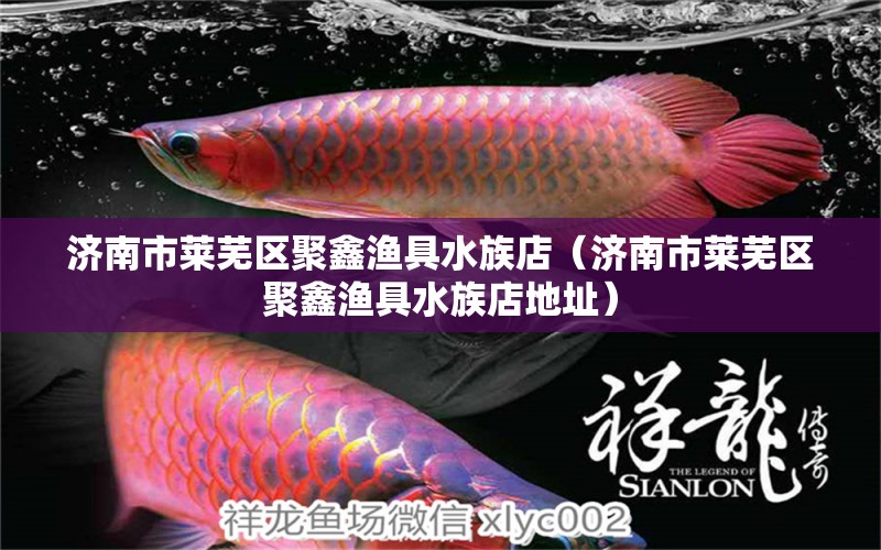 濟南市萊蕪區(qū)聚鑫漁具水族店（濟南市萊蕪區(qū)聚鑫漁具水族店地址）