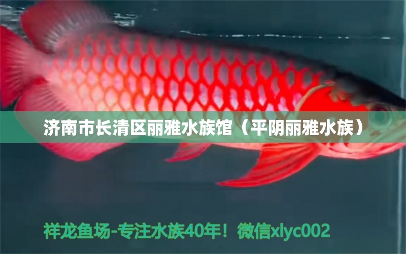 濟南市長清區(qū)麗雅水族館（平陰麗雅水族）