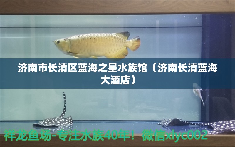 濟(jì)南市長清區(qū)藍(lán)海之星水族館（濟(jì)南長清藍(lán)海大酒店） 全國水族館企業(yè)名錄