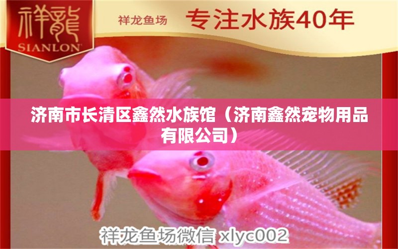 濟南市長清區(qū)鑫然水族館（濟南鑫然寵物用品有限公司） 全國水族館企業(yè)名錄