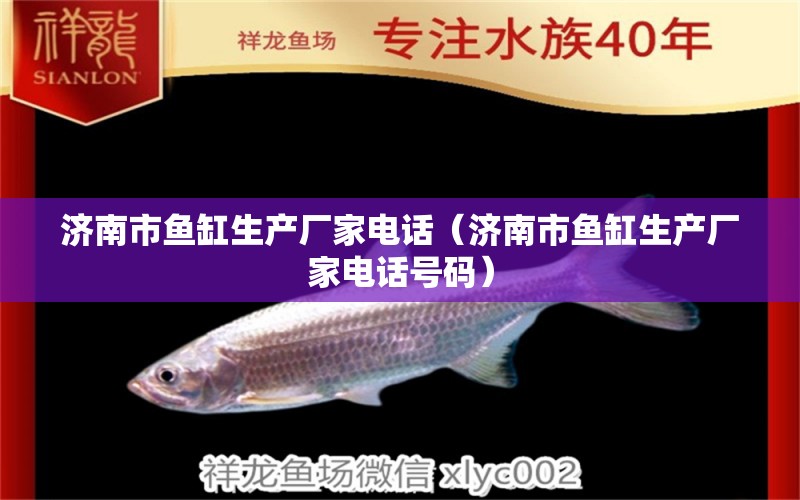 濟(jì)南市魚(yú)缸生產(chǎn)廠家電話（濟(jì)南市魚(yú)缸生產(chǎn)廠家電話號(hào)碼） 其他品牌魚(yú)缸