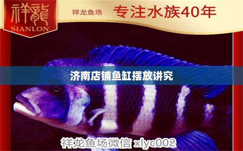 濟南店鋪魚缸擺放講究 觀賞魚