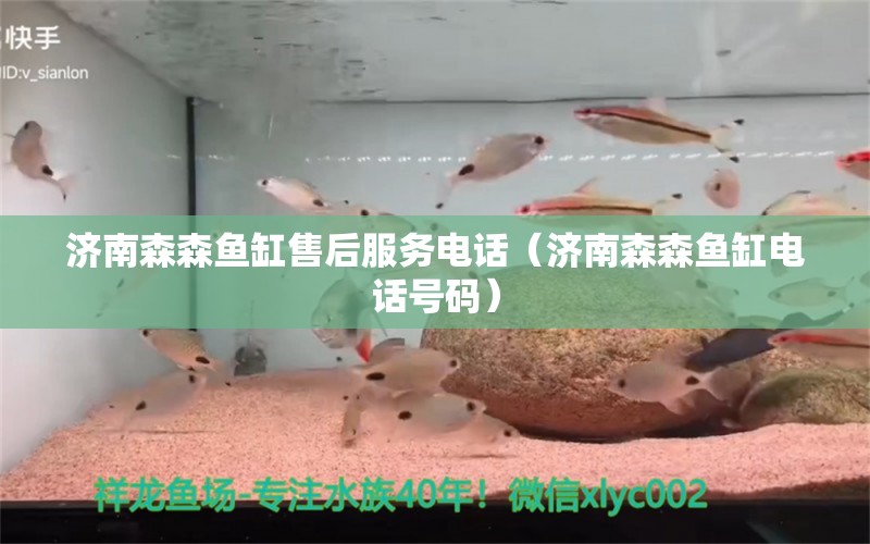 濟南森森魚缸售后服務(wù)電話（濟南森森魚缸電話號碼） 其他品牌魚缸