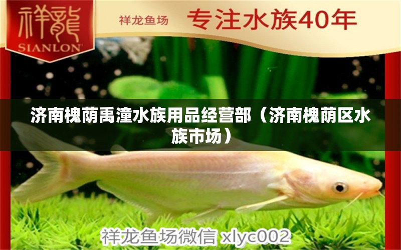 濟(jì)南槐蔭禹潼水族用品經(jīng)營(yíng)部（濟(jì)南槐蔭區(qū)水族市場(chǎng)）