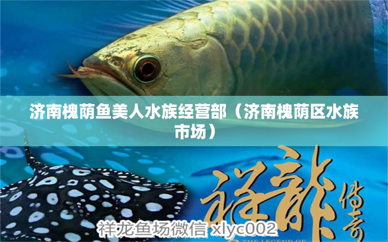 濟南槐蔭魚美人水族經(jīng)營部（濟南槐蔭區(qū)水族市場）