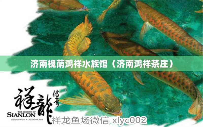 濟(jì)南槐蔭鴻祥水族館（濟(jì)南鴻祥茶莊）