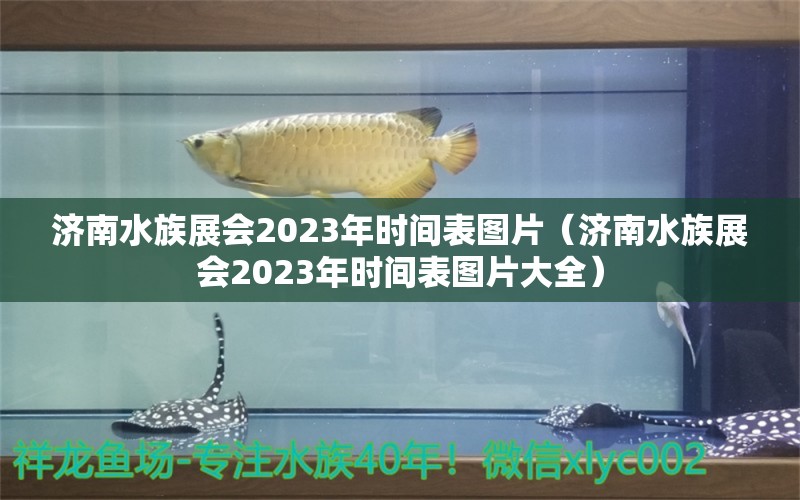 濟南水族展會2023年時間表圖片（濟南水族展會2023年時間表圖片大全）