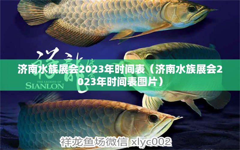 濟(jì)南水族展會(huì)2023年時(shí)間表（濟(jì)南水族展會(huì)2023年時(shí)間表圖片）