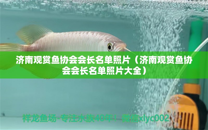 濟南觀賞魚協(xié)會會長名單照片（濟南觀賞魚協(xié)會會長名單照片大全）