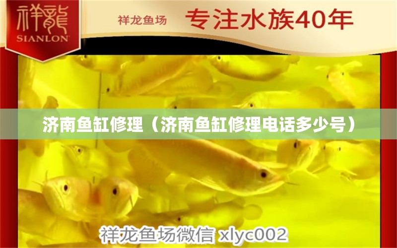 濟南魚缸修理（濟南魚缸修理電話多少號）