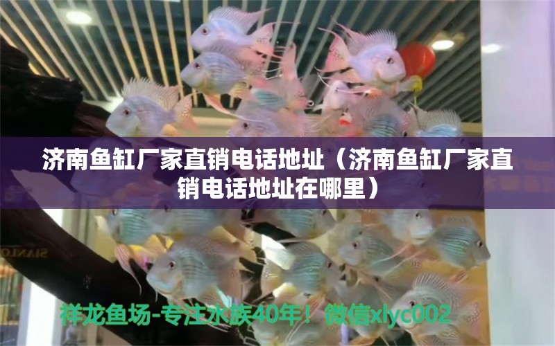 濟(jì)南魚缸廠家直銷電話地址（濟(jì)南魚缸廠家直銷電話地址在哪里）